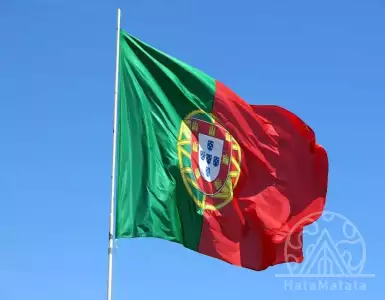 Study the requirements for obtaining emigrant status in Portugal