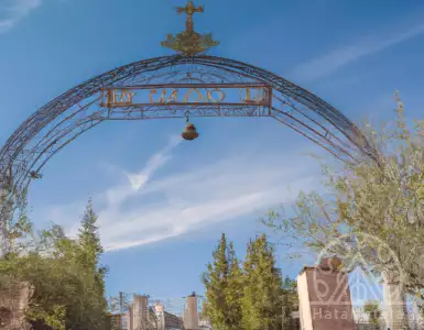 TWE buys Daou Vineyards in California for $1 billion