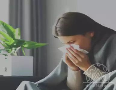 Goodbye runny nose: Spanish kitchens can help you fight it!