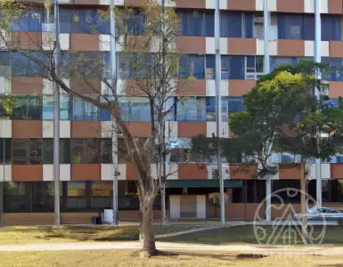 Deputies are entitled to an apartment of 225 sq.m or a rental for 5500 rubles; check out the real estate.