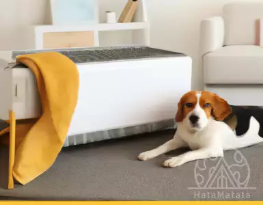 Energy efficiency diagnosis (EED) to stimulate the renovation of the private rental market: useful, but not miraculous