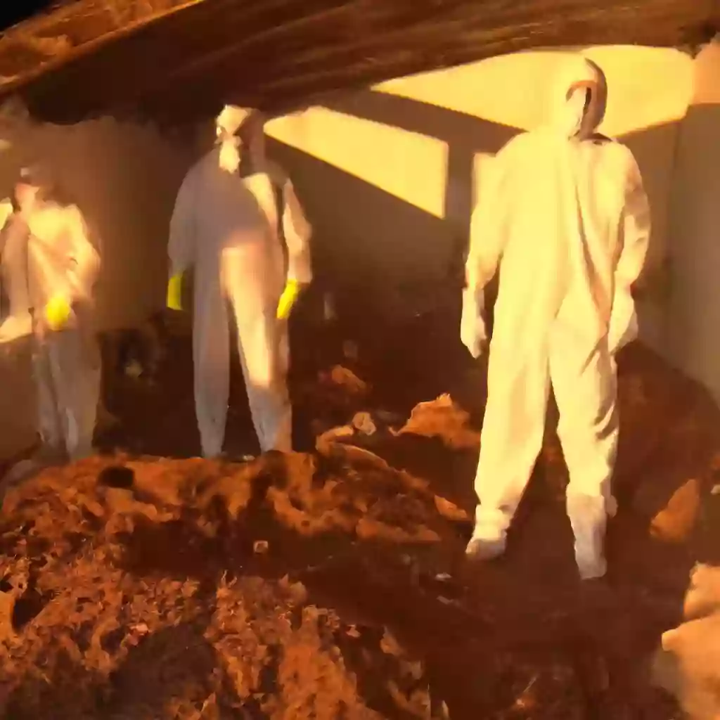 Афера тунель в Черногории: Пришла ДНК шахтера мафии