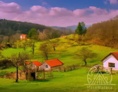 Luxury cottages in Vojvodina like in Tuscany! Vacation homes near Novi Sad, Indzija and Iriga are the most expensive.