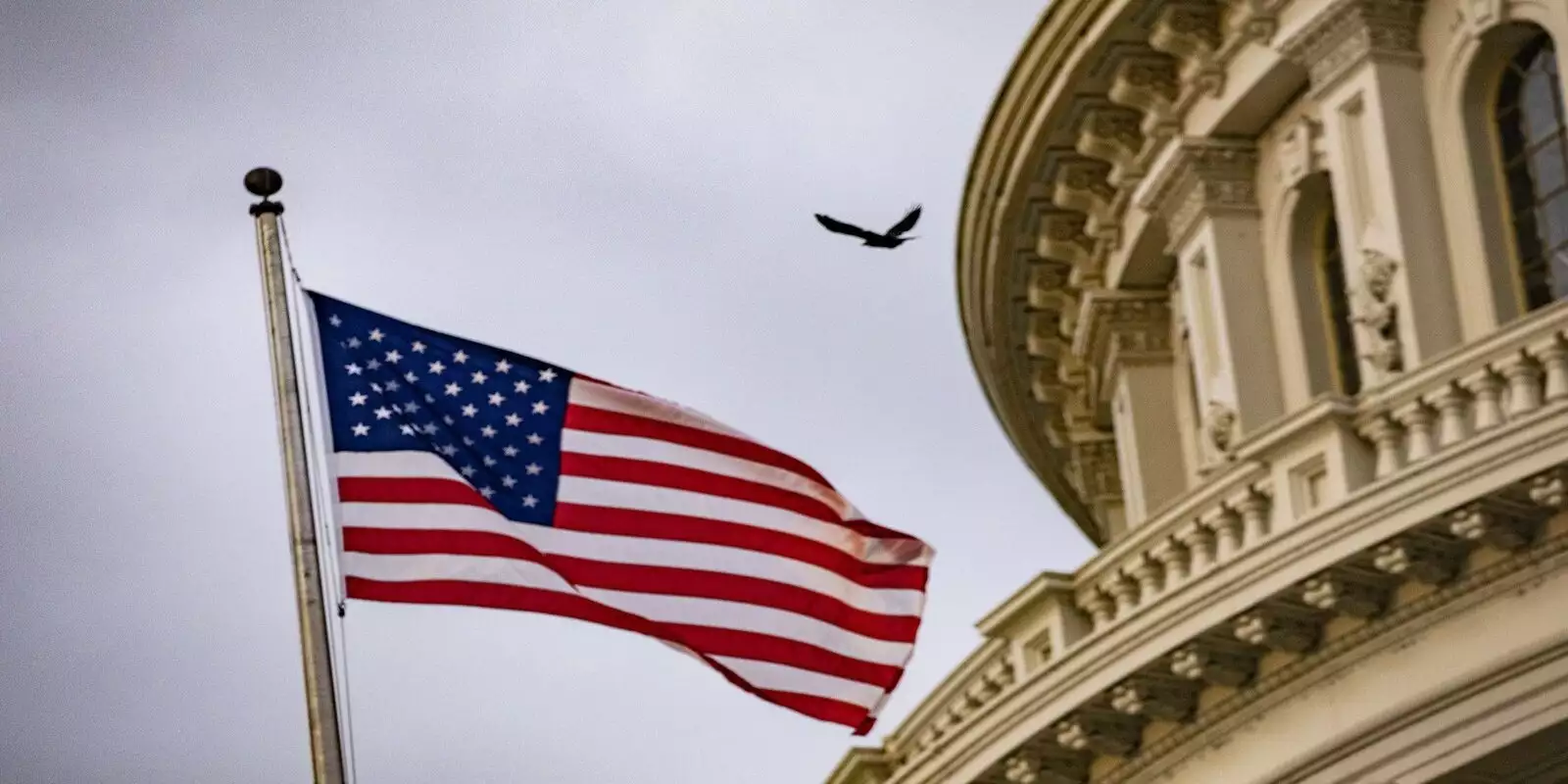 Explore the process of becoming a U.S. citizen