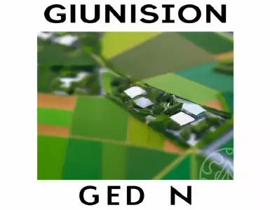 Growing restrictions on foreign entities in state laws: tensions between the U.S. and China. Florida's constitutional standoff. SB 264 in Shen vs. Simpson.