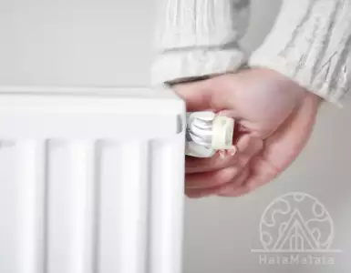 Electricity supply and heating in Serbia: census data