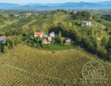 Italian vineyard at auction - priced above a New York apartment