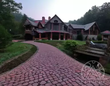 A visit to the huge Monarch estate in Hall County