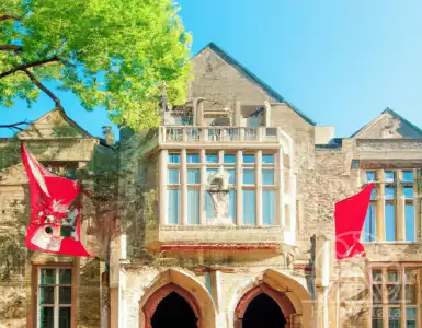 Gifts to Georgia State University and Temple University