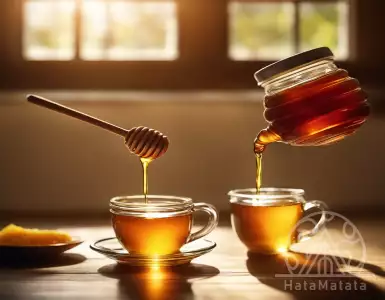 All the benefits and properties of honey
