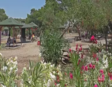 The young neighborhood of Sarısu in Antalya. Characteristics and description.