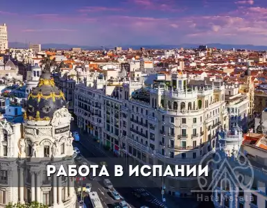 ** "Looking for a job in Spain: the path to employment and earning"