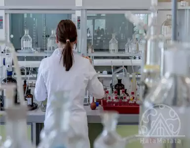 Education and Science in Turkey