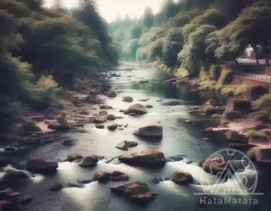 2:00PM Water Cooler 24.11.2023 | naked capitalism