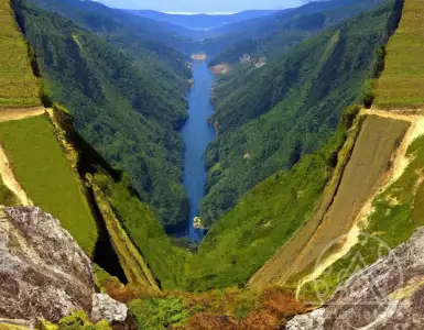 Wine Regions of the Atlantic Region Seek Gold | Features: