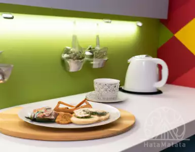 Communal living: the rise in popularity of subdivided living spaces.