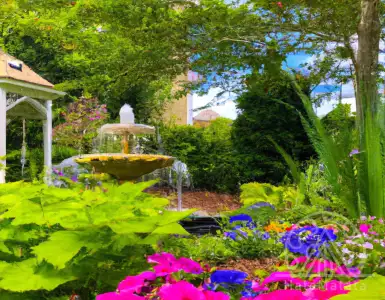 Use of land in the garden and common area: when it is allowed, when it is not and special cases.