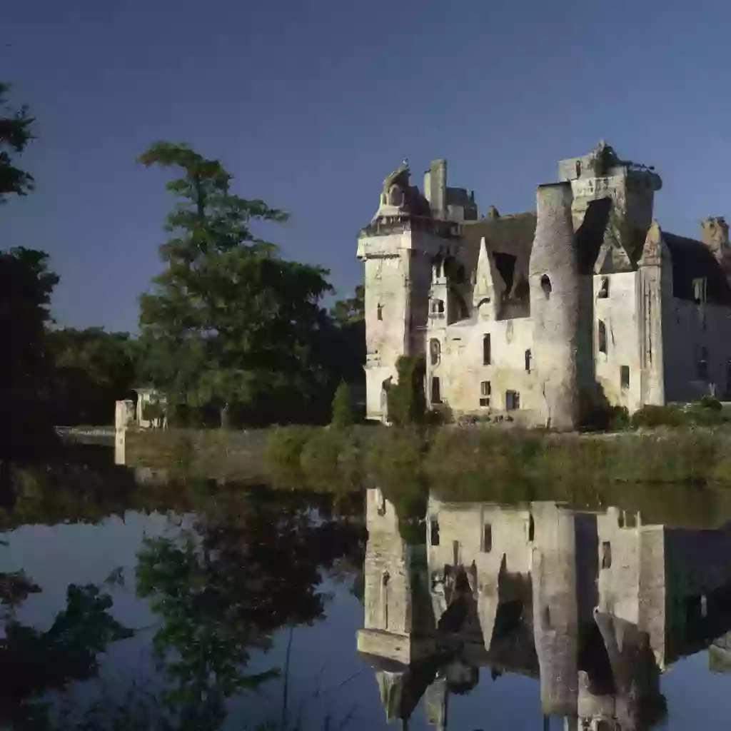 Замок XIII века превратился в уютный уголок сельской Франции: загляните внутрь.