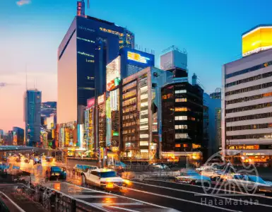Tokyo Gas joins to acquire stake in Think Gas Distribution.