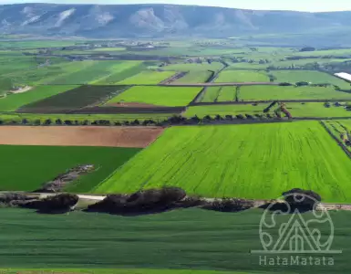 Israel's secret actions in SSr raise suspicions They secretly collect information - Yeni Akıt.