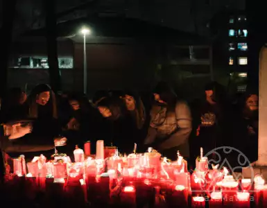 Serbia's president promises to disarm the country after mass shootings.