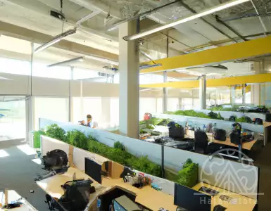 Choosing an office space: Why a center is not always the best choice for everyone