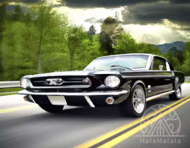 The 56-year-old single owner is a 1964.5 Ford Mustang Coupe with a D-Code 289 engine.