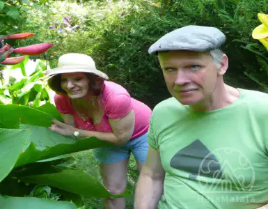 A bad week, good plants.