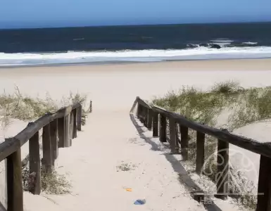 "Foreigners are looking for real estate in Portugal with a sea view, rural houses, and farms."