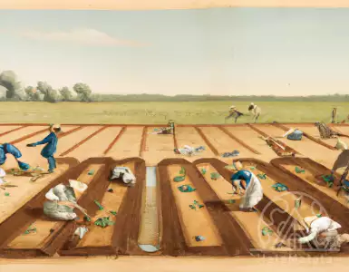 Who owns more land: Bill Gates, McDonald's or the Catholic Church?