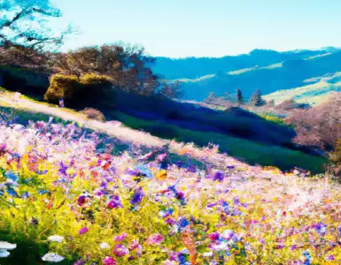 Sam Altman is TIME's CEO of the Year 2023.