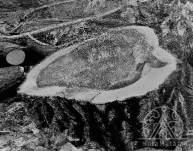 How a tree cutting permit works: can I cut one down on my property?