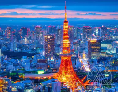 Rising real estate prices in Tokyo are forcing young professionals to leave the city.