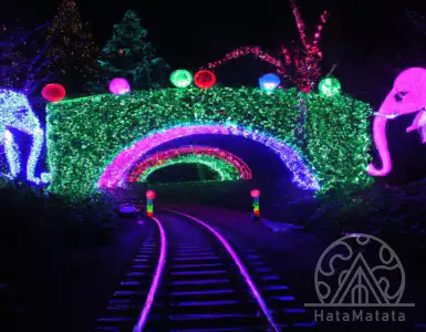 Top 49 events in Portland this week: December 11-17, 2023 - EverOut Portland