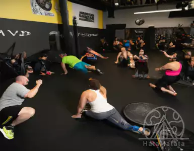 Ellen Latham's fortune - how rich is she?