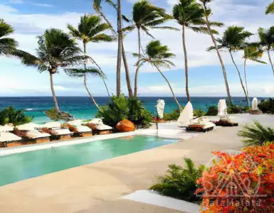 CoStar World News for December 14