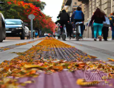 Rising house prices and falling sales: unrealistic expectations of used property owners - New Leaf