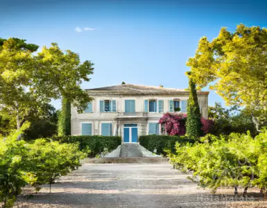 Acquisition of the Clooney wine estate in Provence: true or not?