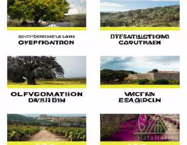 Spanish Wine Road: 8 wineries in Spain (what to try at each)