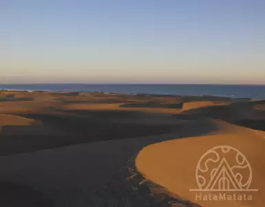 Gran Canaria: a paradise island in Spain for nature lovers