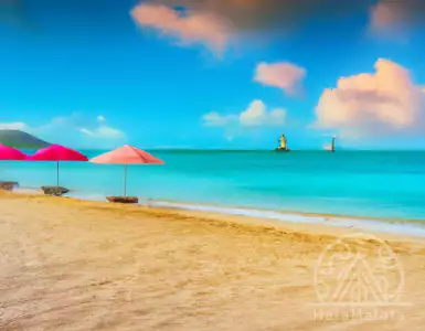 How much is Tom Anderson worth? An estimate of his net worth.