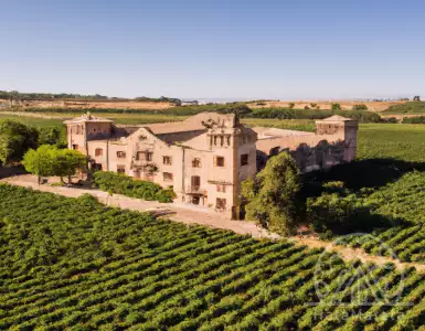 The newest Vino de Pago wine from Spain is Abadia Retuerta.