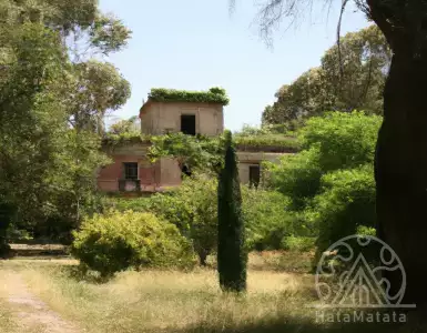 Parabola: Spanish hunting pier. Price: 3.7 million euros. Conquered by deer.