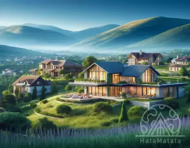 What is the diaspora buying in Serbia?