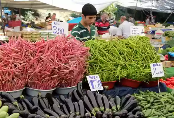 Avnavutkei is a haven for fishermen in Istanbul. Neighborhood and real estate overview.