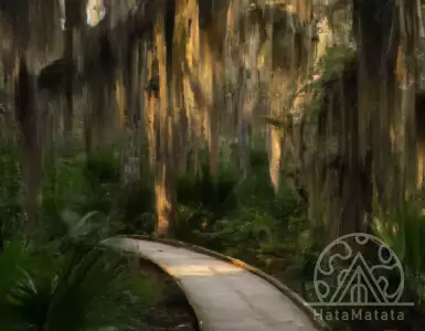 Immaculate barrier islands of Georgia: cultural and natural wealth combine perfectly. Discover for yourself.