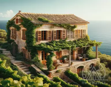 Dreaming of a Mediterranean-style home? Here’s everything you need to know.