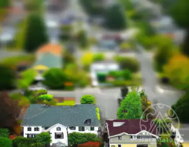 "Real estate is losing its leadership as the best investment; gold is growing"