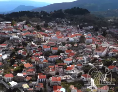 Slowdown in sales growth