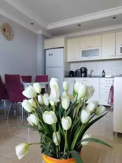 Flat 77m² in Turkey, Payallar. Priced at 128000€ rent photo-2